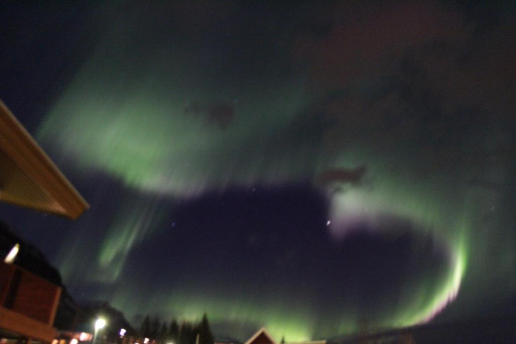 Hotel Austur Reydarfjordur Buitenkant foto
